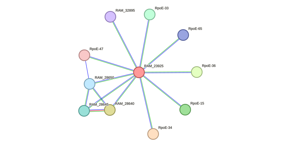 STRING protein interaction network