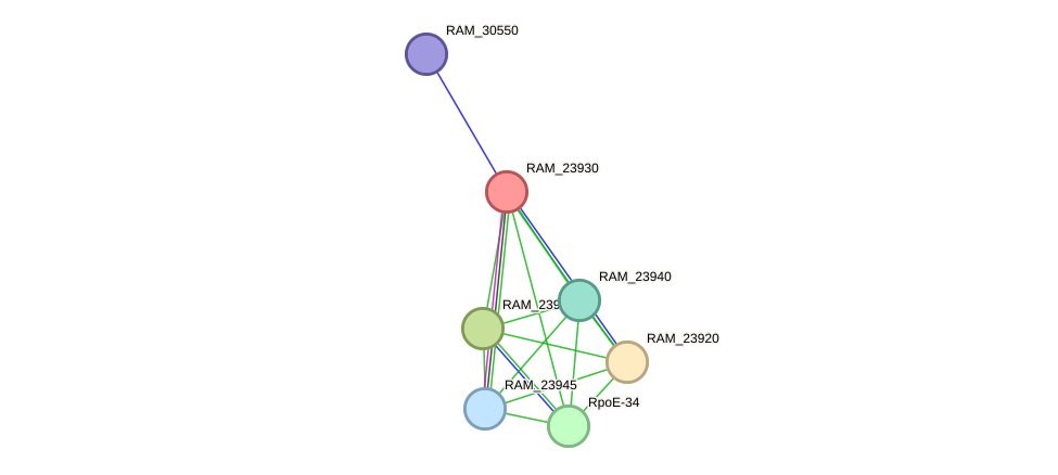 STRING protein interaction network