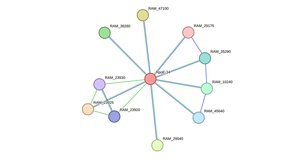 STRING protein interaction network