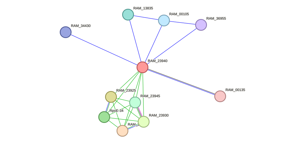 STRING protein interaction network