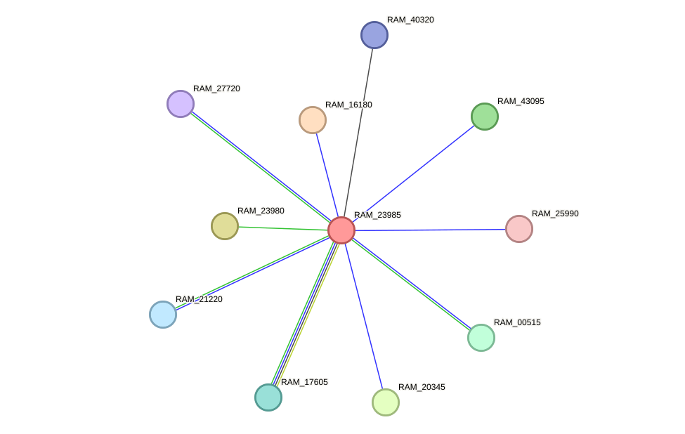 STRING protein interaction network