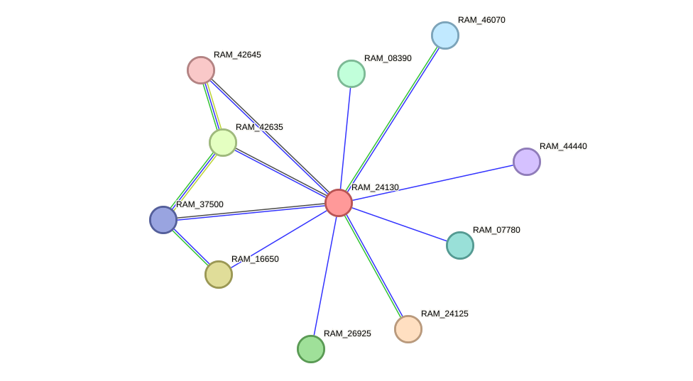 STRING protein interaction network