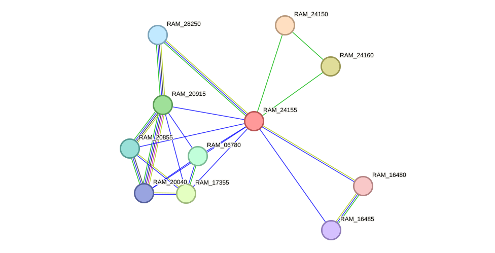 STRING protein interaction network