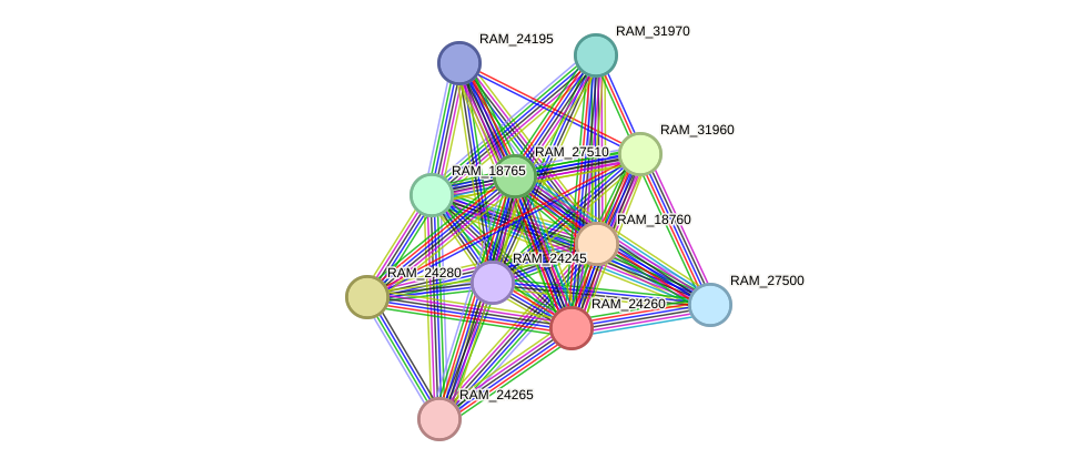 STRING protein interaction network