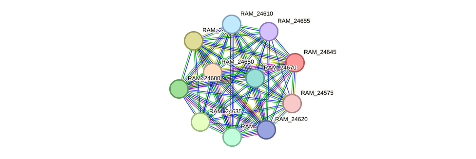 STRING protein interaction network