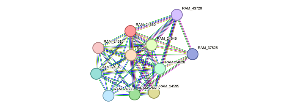 STRING protein interaction network