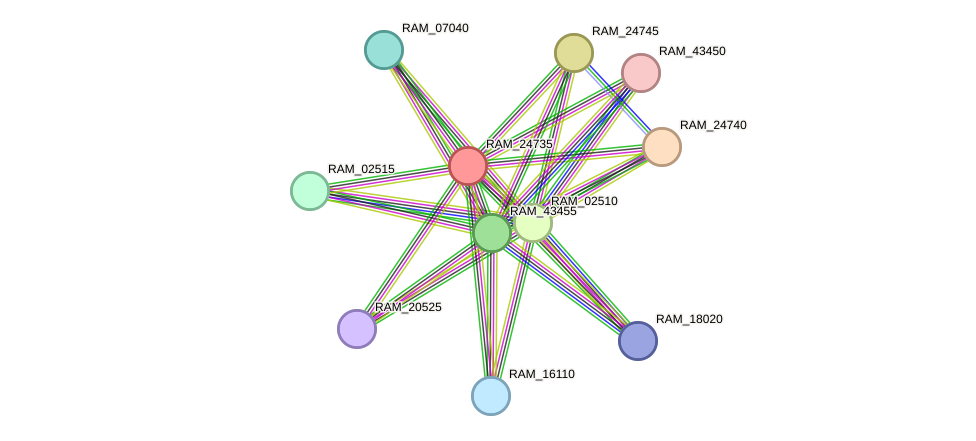 STRING protein interaction network