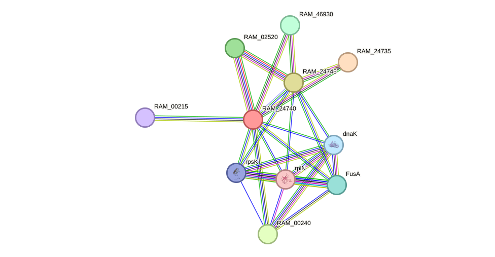 STRING protein interaction network