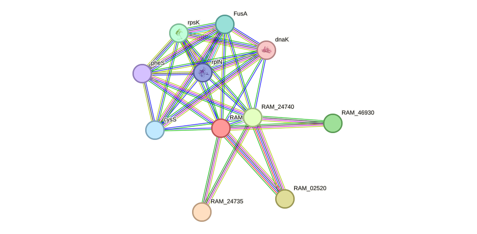 STRING protein interaction network