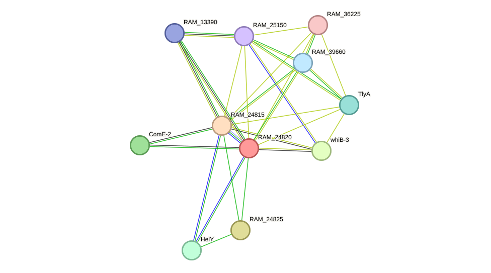 STRING protein interaction network