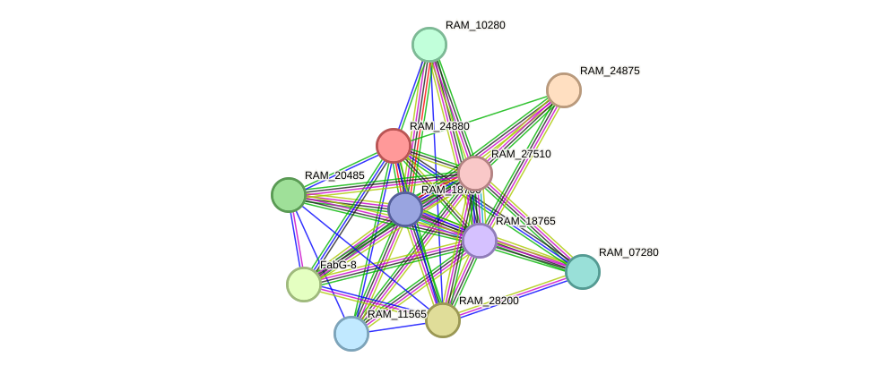 STRING protein interaction network