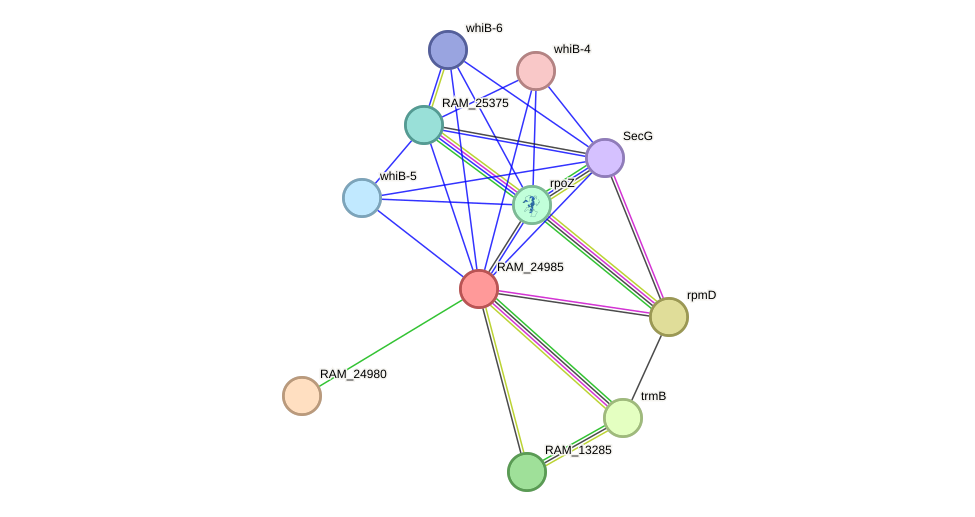 STRING protein interaction network