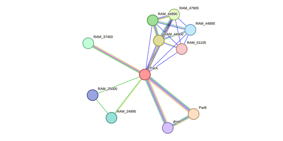 STRING protein interaction network