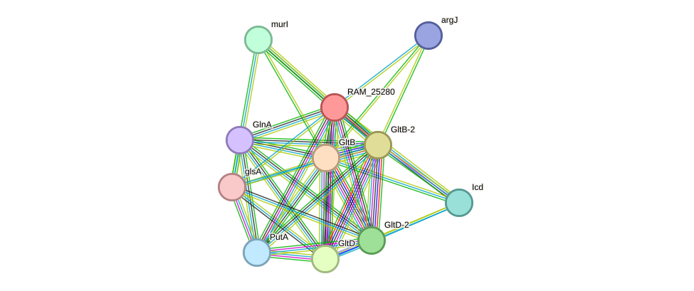STRING protein interaction network
