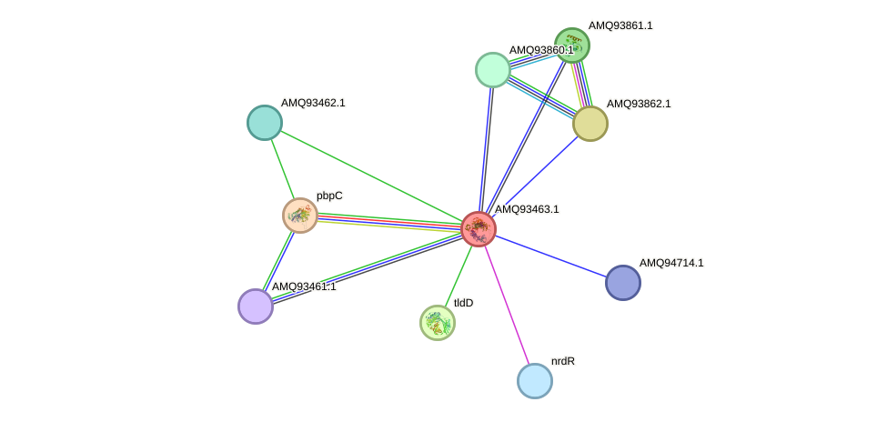 STRING protein interaction network