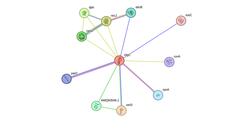 STRING protein interaction network