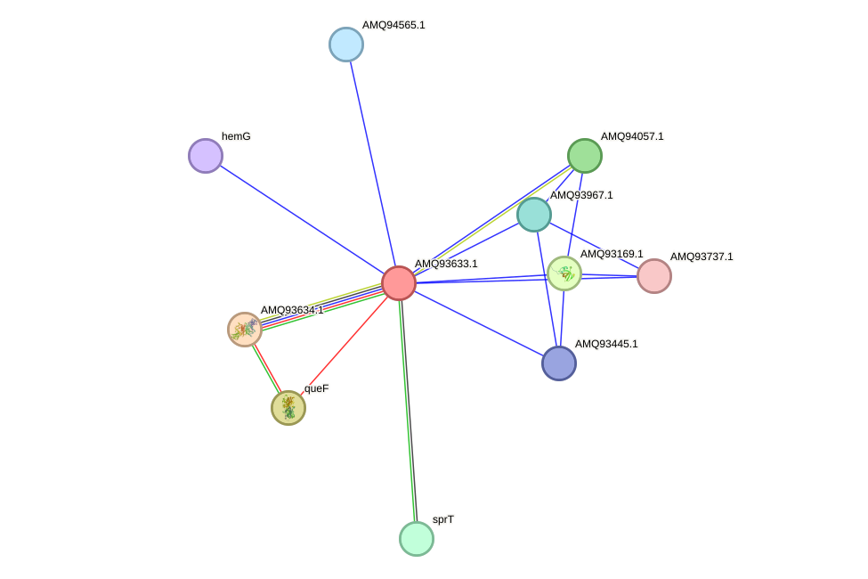STRING protein interaction network
