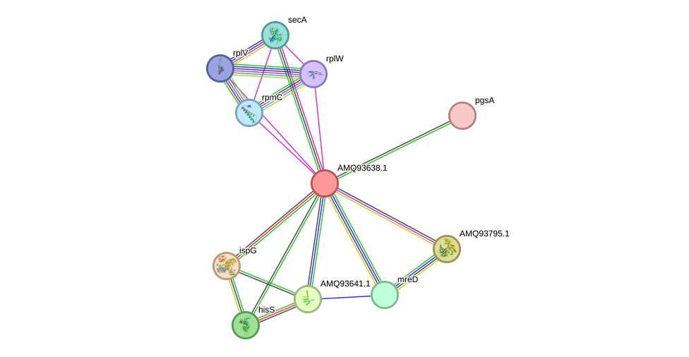 STRING protein interaction network