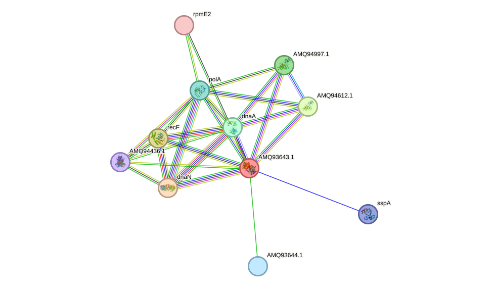 STRING protein interaction network