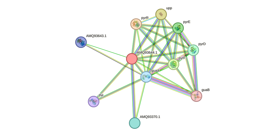 STRING protein interaction network