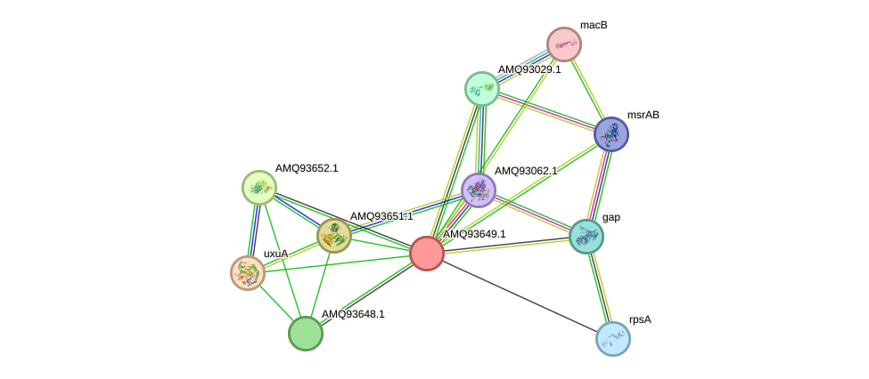 STRING protein interaction network