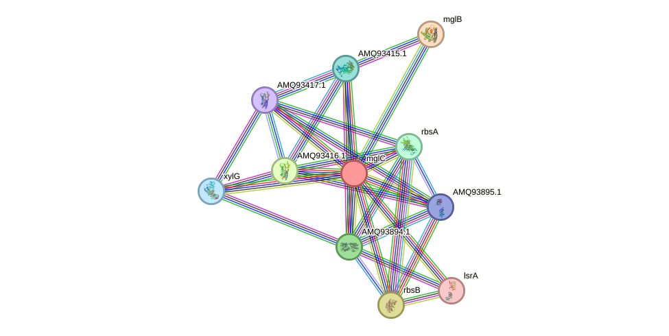 STRING protein interaction network