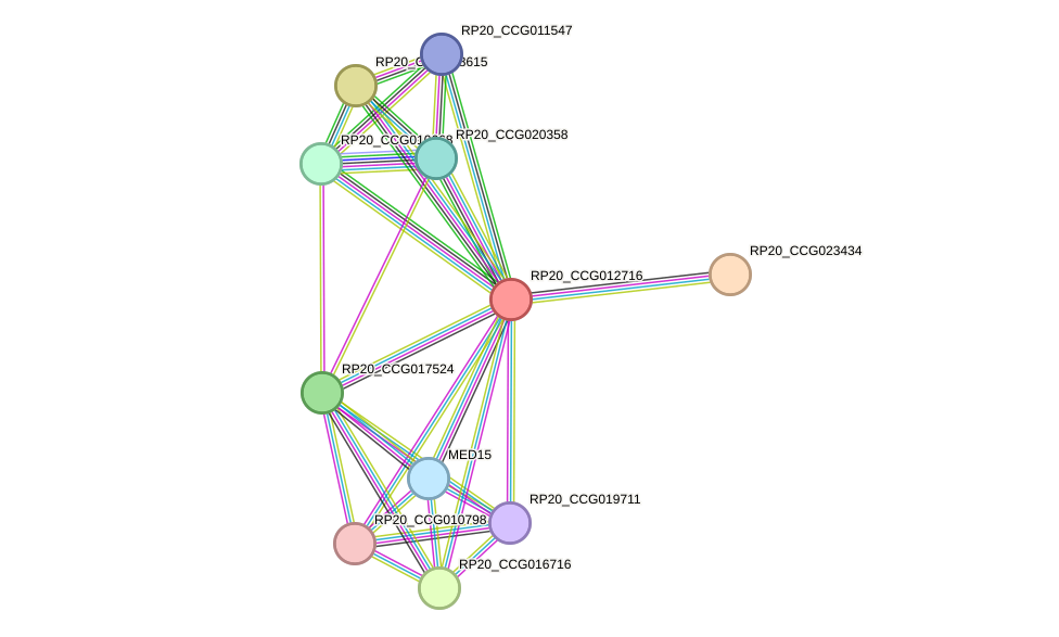 STRING protein interaction network