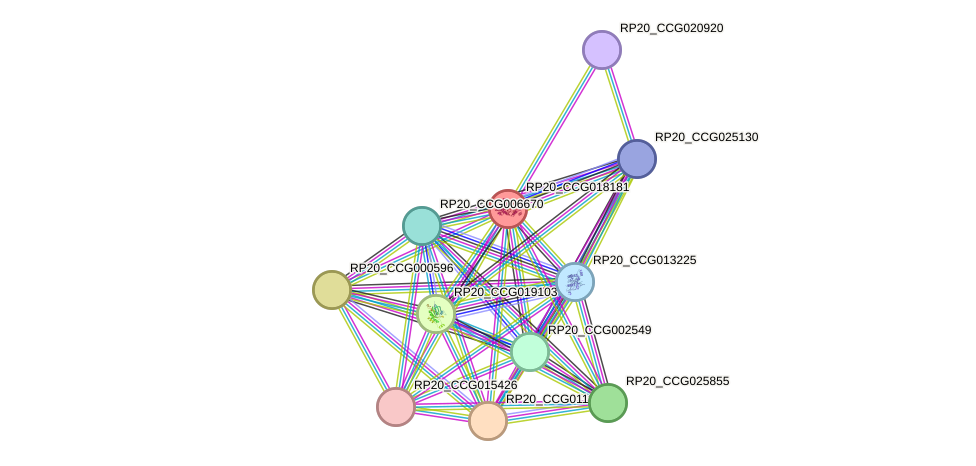 STRING protein interaction network