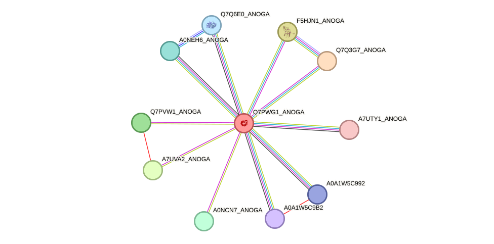 STRING protein interaction network