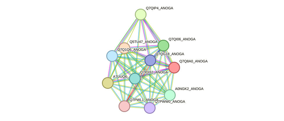 STRING protein interaction network