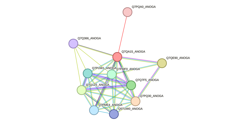 STRING protein interaction network