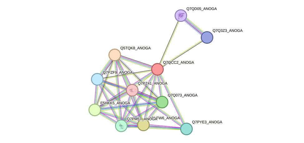 STRING protein interaction network