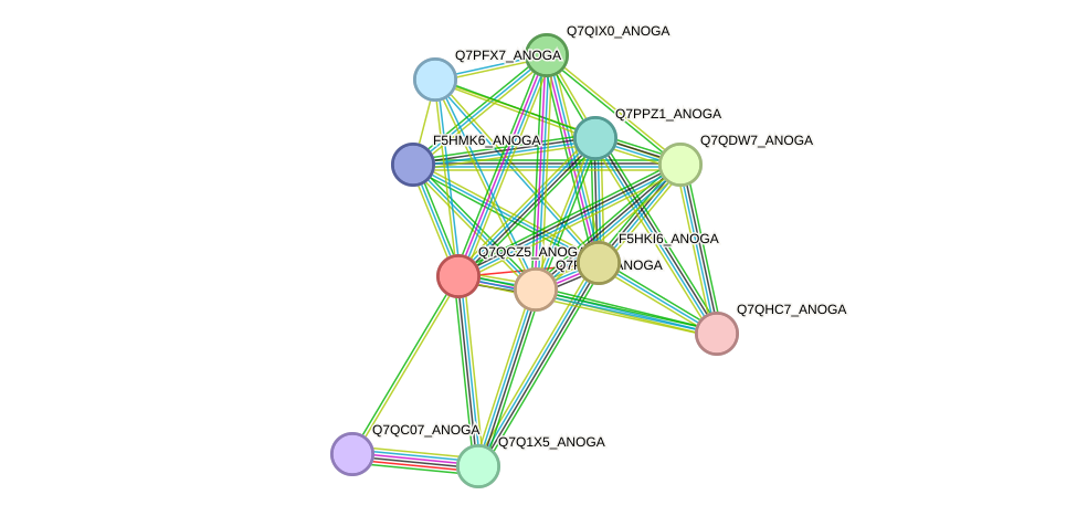 STRING protein interaction network