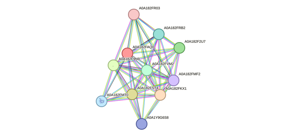 STRING protein interaction network