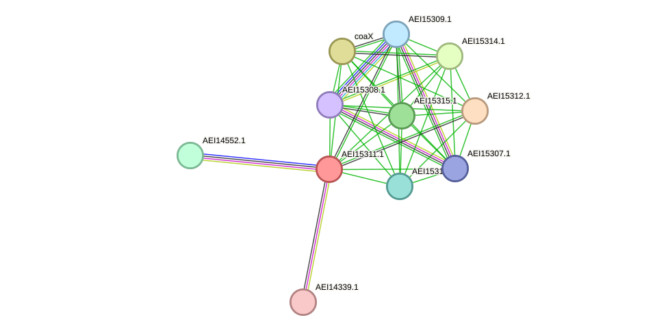 STRING protein interaction network