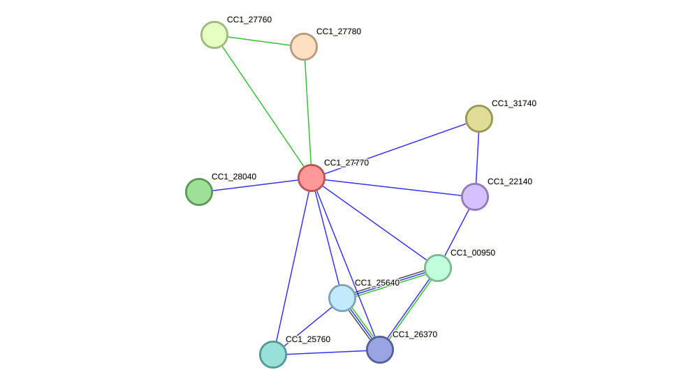 STRING protein interaction network