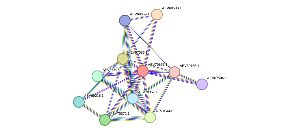 STRING protein interaction network