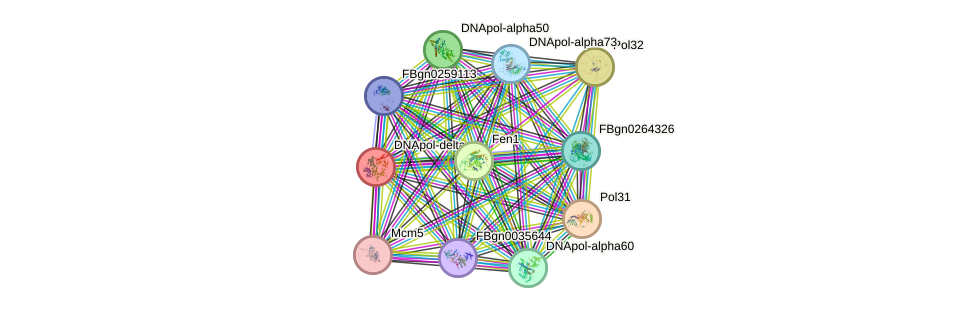 STRING protein interaction network