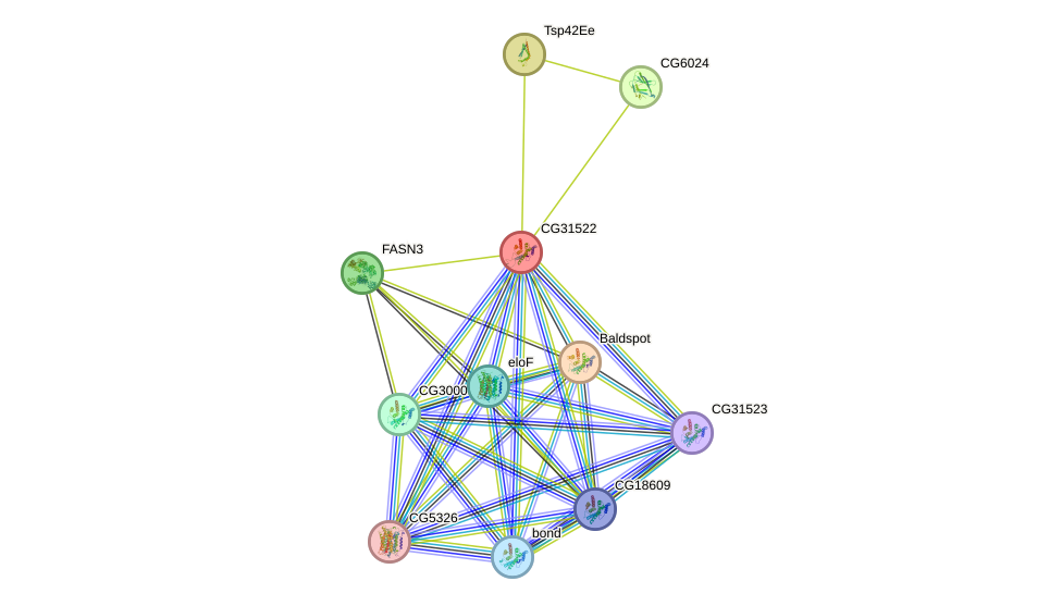 STRING protein interaction network