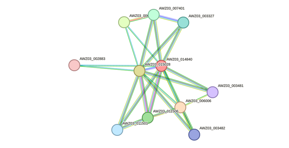 STRING protein interaction network