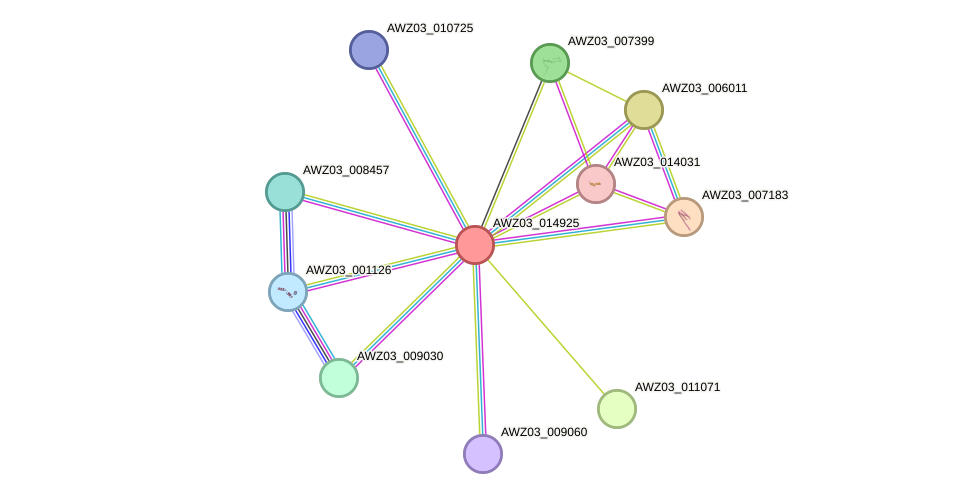 STRING protein interaction network
