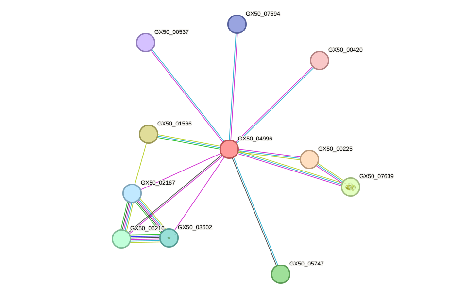STRING protein interaction network