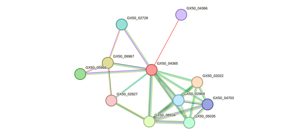 STRING protein interaction network