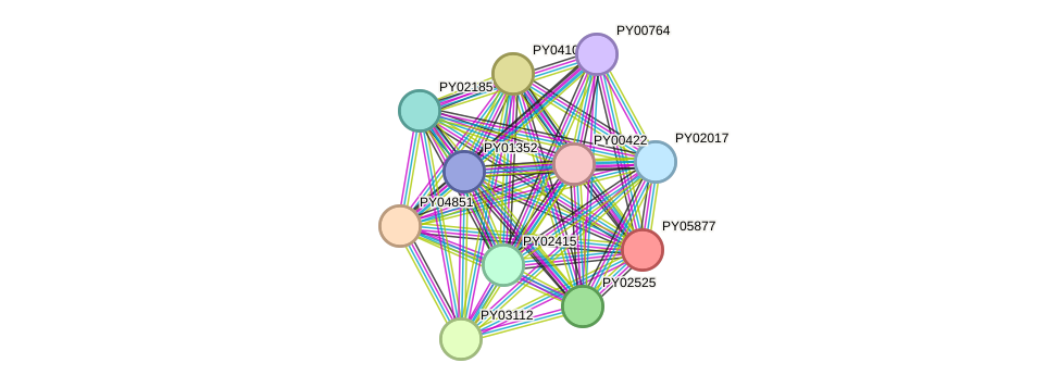 STRING protein interaction network