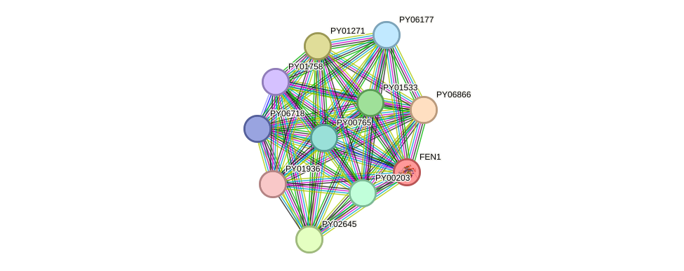 STRING protein interaction network