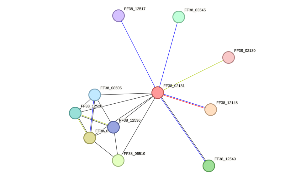 STRING protein interaction network