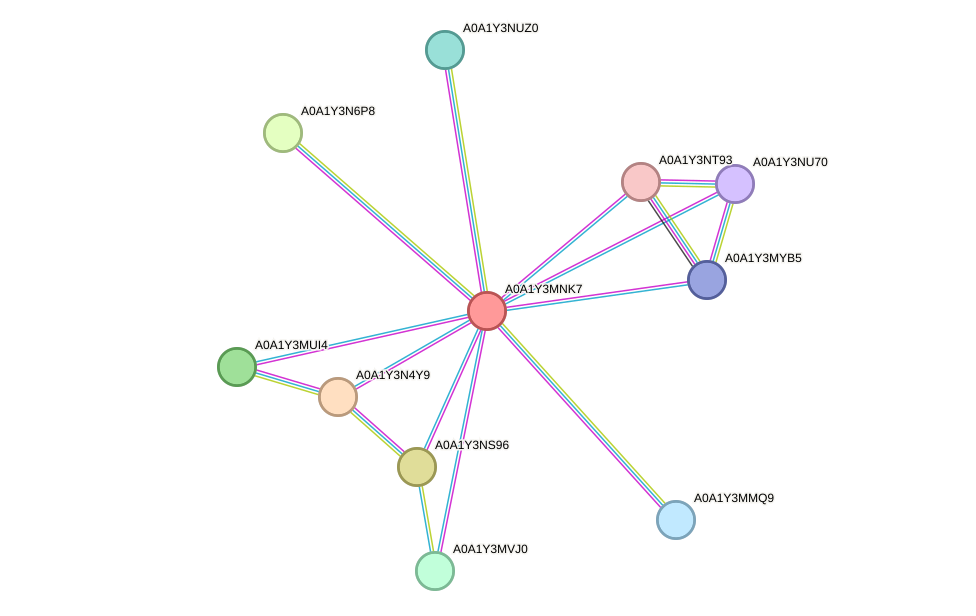 STRING protein interaction network