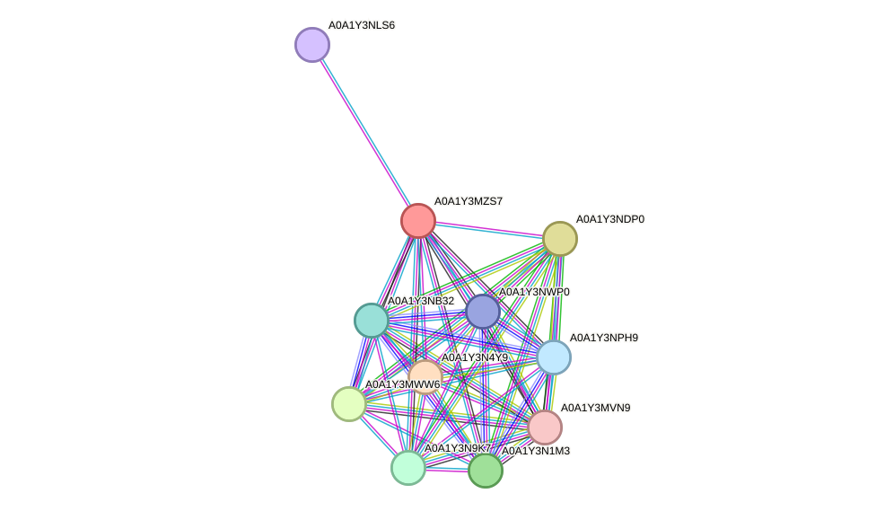 STRING protein interaction network