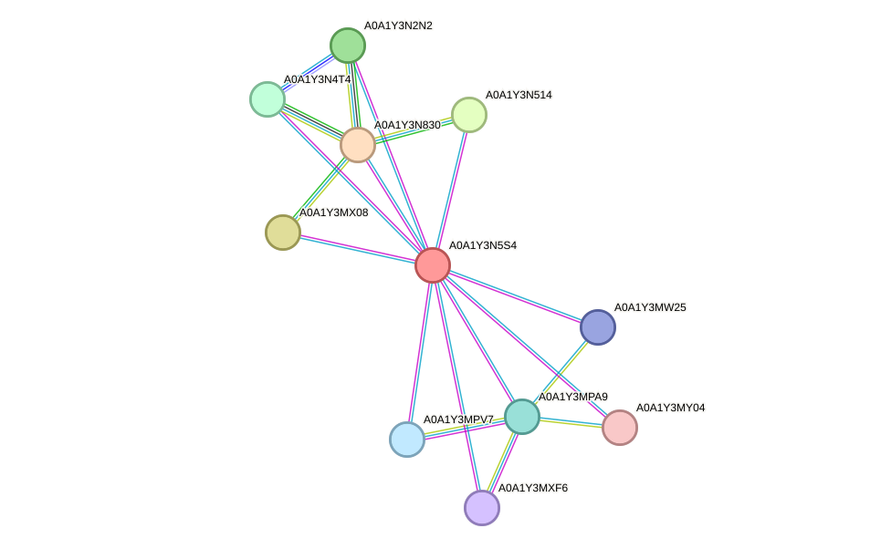 STRING protein interaction network