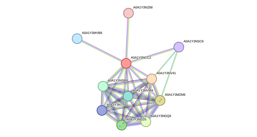 STRING protein interaction network